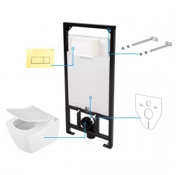 Deante Anemon Zero Комплект 6 в 1 с инсталляцией, кнопка золотая