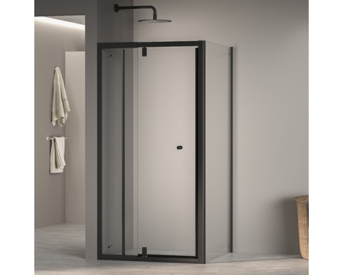 Душевой уголок RGW PA-32 NEW (PA-02 NEW + Z-050-1) прозрачное cтекло цвет профиля 6 мм 410