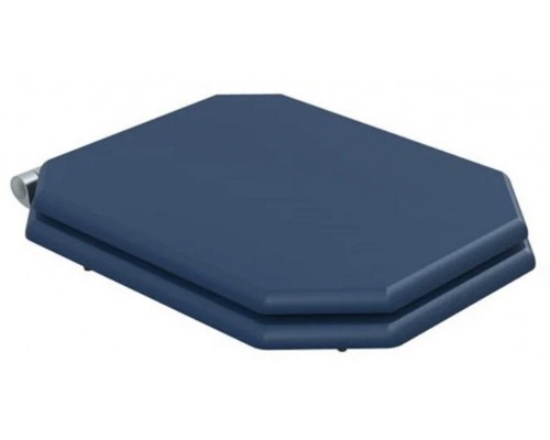 Сиденье для унитаза Caprigo Tempo KFe-47C-061.000.00.20