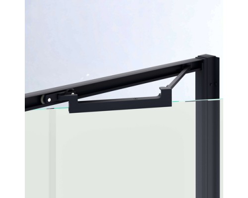 Душевая дверь RGW 80х195 SV-05-B черный, Black Smart Line, 8 мм, Easy 70320508-194