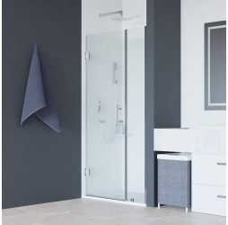 Распашная душевая дверь RGW HO-012 110*195 прозрачное стекло 8 мм 350601211-11