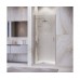 Душевая дверь в нишу RGW Leipzig LE-003 60х195 351200306-11 профиль хром, стекло прозрачное