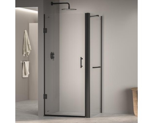 Душевой уголок RGW Passage PA-36-1B 60х100 410836160-014