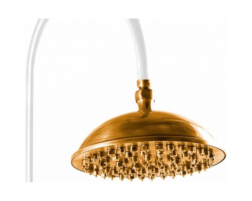 Лейка Caprigo 99-102-ORO