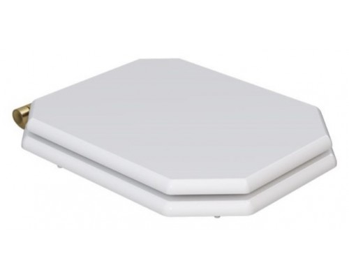 Сиденье для унитаза Caprigo Tempo KFe-47B-B231