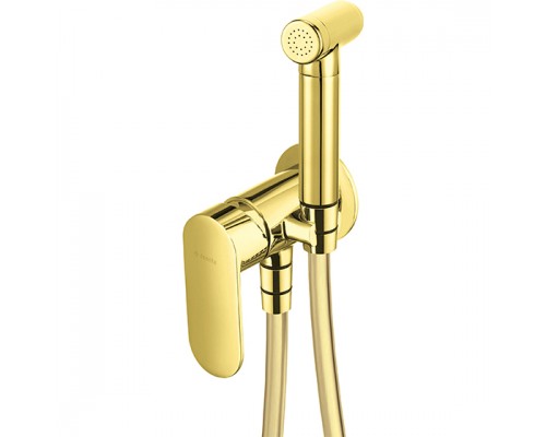 Deante Alpinia Gold Смеситель скрытого монтажа с гигиеническим душем, золото