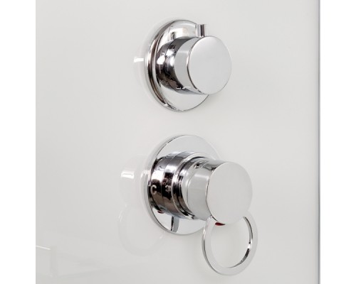 Душевая кабина AvaCan D10 AVA 100x100 без крыши, стекла матовые, профиль хром