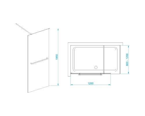 Душевая перегородка RGW WA-041B неподвижное Walk In cтекло прозрачное, 8 мм 120*195 чёрный 35104012-14