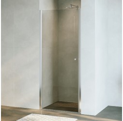 Душевая дверь RGW Dolphin TN-03 800