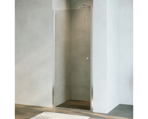 Душевая дверь RGW Dolphin TN-03 800