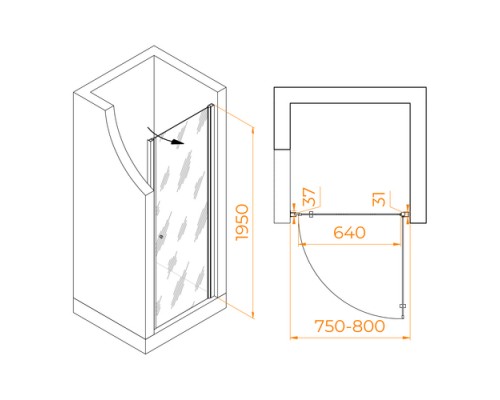 Душевая дверь RGW Dolphin TN-03 800