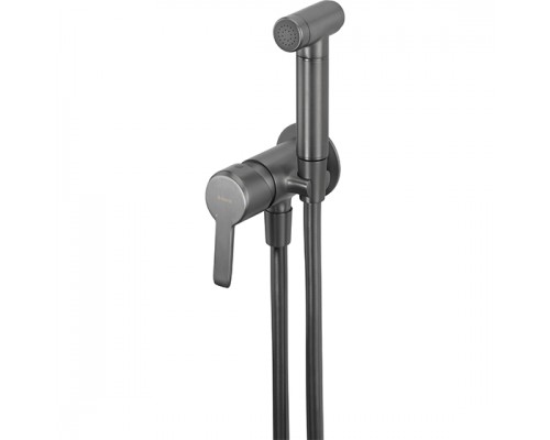 Deante Arnika Titanium Смеситель скрытого монтажа с гигиеническим душем, титан