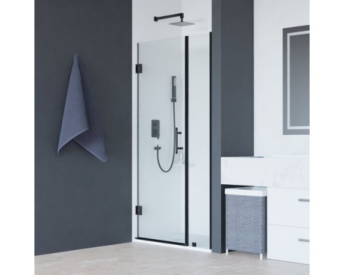 Распашная душевая дверь RGW HO-012-B 120*195 сатинат стекло 8 мм 350601212-24