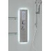 Душевая кабина AvaCan V2010LED AVA 100x100 LED, стекла прозрачные, профиль хром
