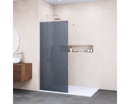 Душевая перегородка Walk-In RGW 120x195 WA-102B стекло тонированное, профиль черный