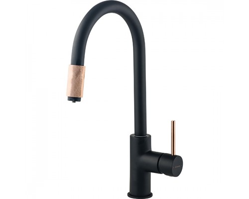 Deante Aster Смеситель для мойки с подключением фильтра для воды, черный-медный