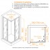 Душевой уголок RGW Dolphin TN-205-J 80x80 28912588-11 стекло прозрачное, профиль хром