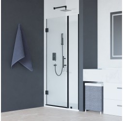 Распашная душевая дверь RGW HO-012-B 120*195 прозрачное стекло 8 мм 350601212-14