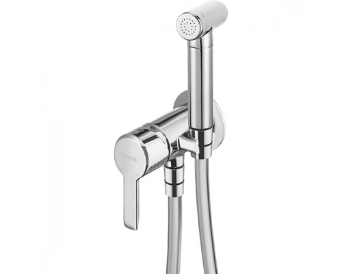 Deante Arnika Смеситель скрытого монтажа с гигиеническим душем, хром