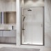 Раздвижная душевая дверь RGW PA-14 Gr 100*195 прозрачное стекло 6 мм 41081410-110