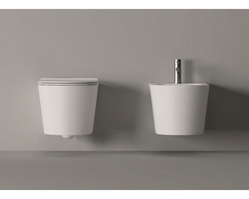 Подвесной унитаз Alice Form без ободка с крышкой SoftClose (арт. 22300101)