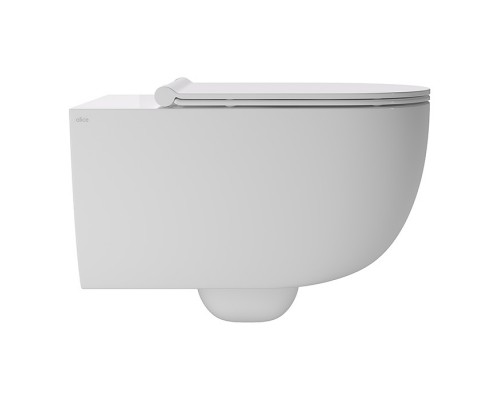 Подвесной унитаз Alice Unica без ободка с крышкой SoftClose (арт. 32240101)