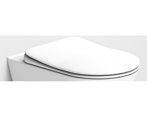Крышка для унитаза Avva, soft-close Белый матовый 976-MW