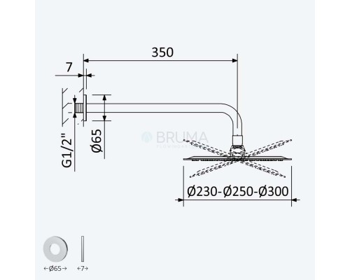 Душевая лейка стальная, Ø250 мм с настенным держателем - BlueR 145 526 4SR Sunrise