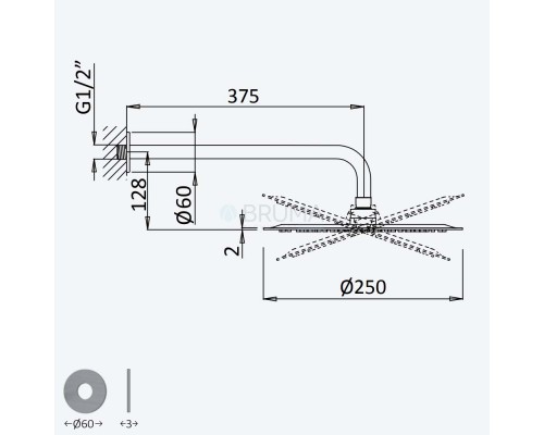 Душевая лейка Ø250 мм с держателем к стене 350 мм - X-Alpha 186 522 0IS Satin stainless steel