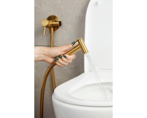 MOZA GOLD Смесит для биде скрытого монтаж(золото), 5039-512-31