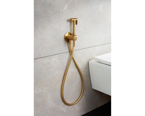 MOZA GOLD Смесит для биде скрытого монтаж(золото), 5039-512-31