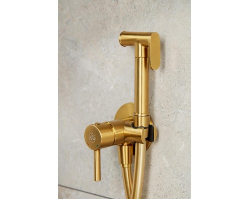 MOZA GOLD Смесит для биде скрытого монтаж(золото), 5039-512-31