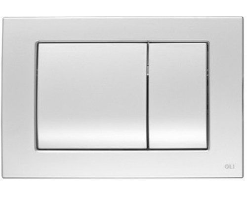 Кнопка смыва механическая OLI Metal Dual 656006 сталь хром матовый (антивандальная)