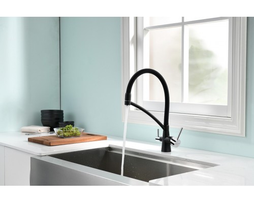 Смеситель PAULMARK SIEGEN Si213111-308, (черный)