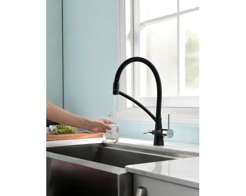 Смеситель PAULMARK SIEGEN Si213111-308, (черный)