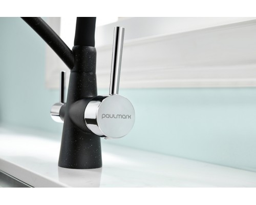 Смеситель PAULMARK SIEGEN Si213111-308, (черный)