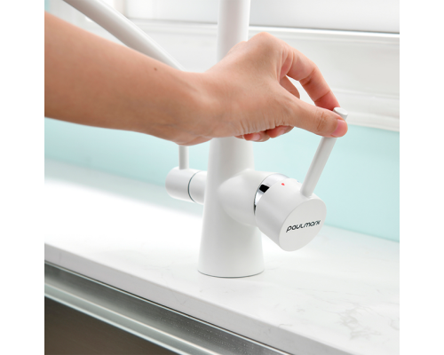 Смеситель PAULMARK SIEGEN Si213111-431TW, (белый/белый матовый)