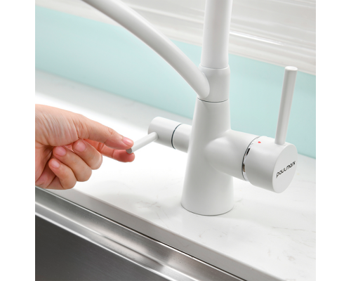 Смеситель PAULMARK SIEGEN Si213111-431TW, (белый/белый матовый)