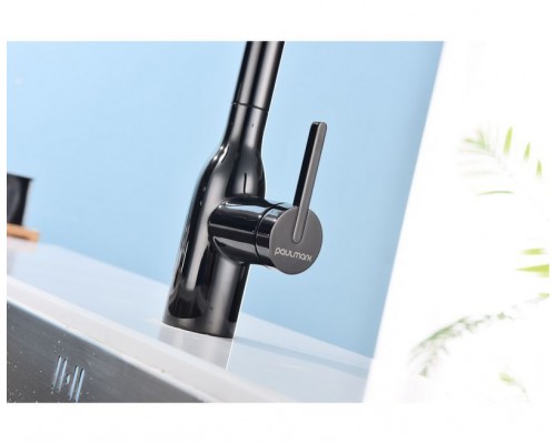 Смеситель PAULMARK VIPER Vi213105-GB, (черный/черный глянцевый)