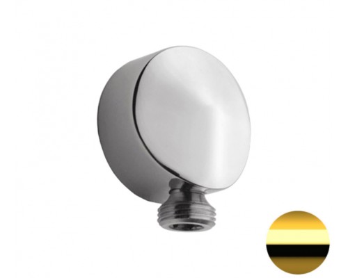 Шланговое подключение для душа Remer 309LDO, золото глянцевое