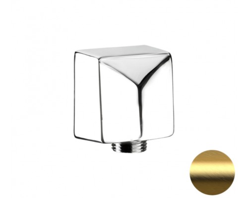 Шланговое подключение для душа Remer 309SBG, золото брашированное