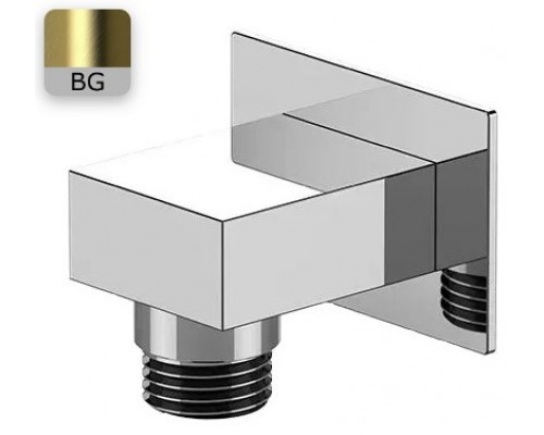 Шланговое подключение для душа Remer 309WBG, золото брашированное