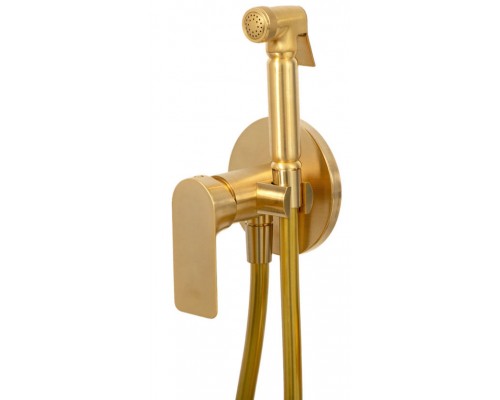 Гигиенический душ Remer Infinity I65BG, золото брашированное
