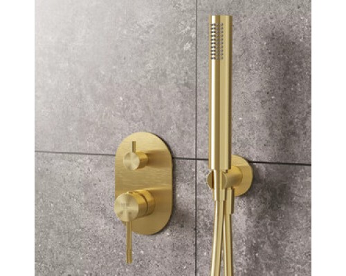 Vieir Душевая система 2 режима  встраиваемая (Gold Brushed ) V403563S