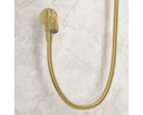 Vieir Душевая система 3 режима с поворотным изливом  встраиваемая (Gold Brushed ) V403564S