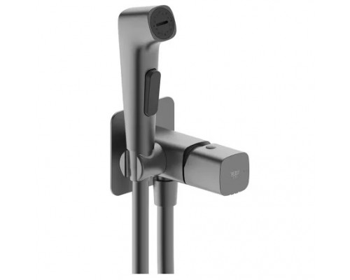 Смеситель с гигиенической лейкой Vieir V473053G оружейная сталь