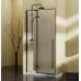 Душевая дверь Vincea Slim-N VDPH-5SN100CLB