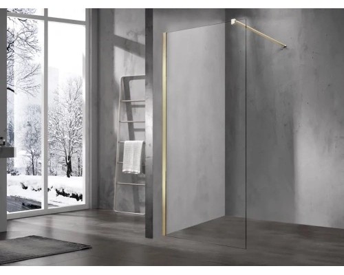 Душевая стенка Vincea Walk-In VSW-1H100CLG