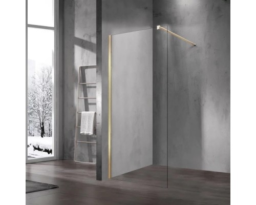 Душевая стенка Vincea Walk-In VSW-1H100CLG