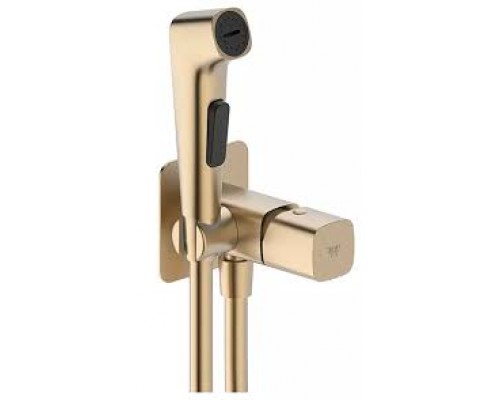 Vieir Смеситель с гигиеническим душем (Gold Brushed ) V473053S